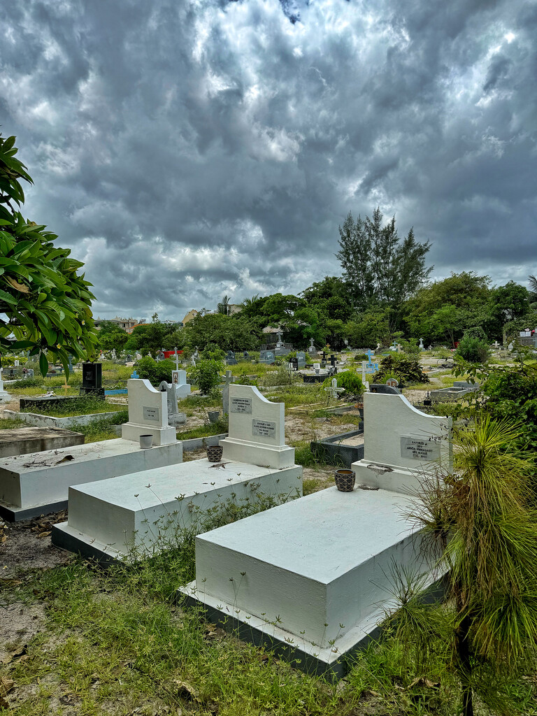 Mauritius cemetery.  by cocobella
