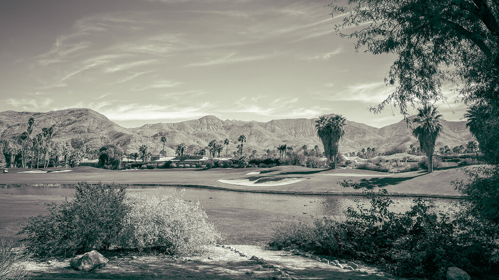 Indian Canyon Golf Course by cdcook48