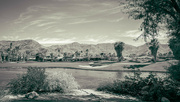 16th Feb 2024 - Indian Canyon Golf Course