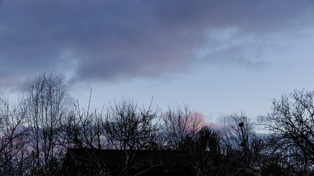16 - Evening Sky over my Studio by marshwader