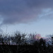 16 - Evening Sky over my Studio by marshwader