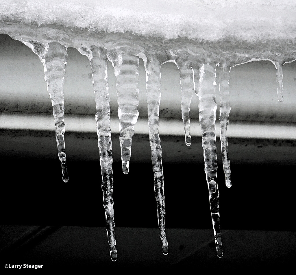 Icicle by larrysphotos