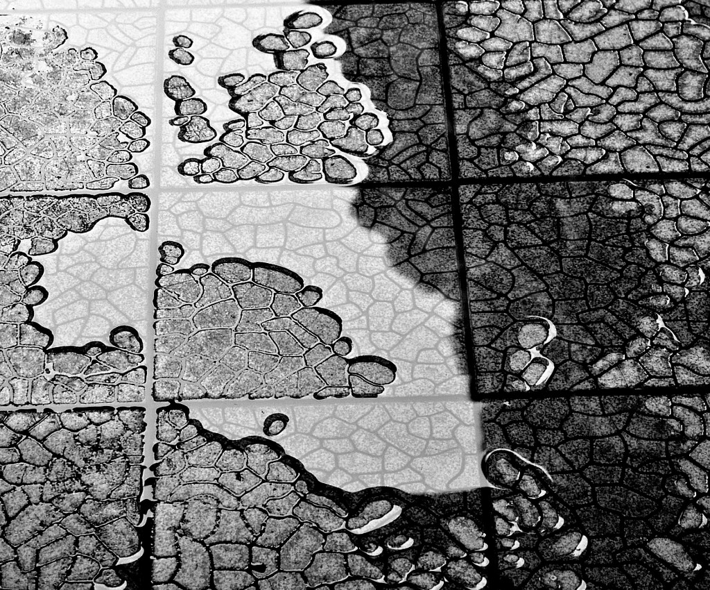 Water on tiles by mdry