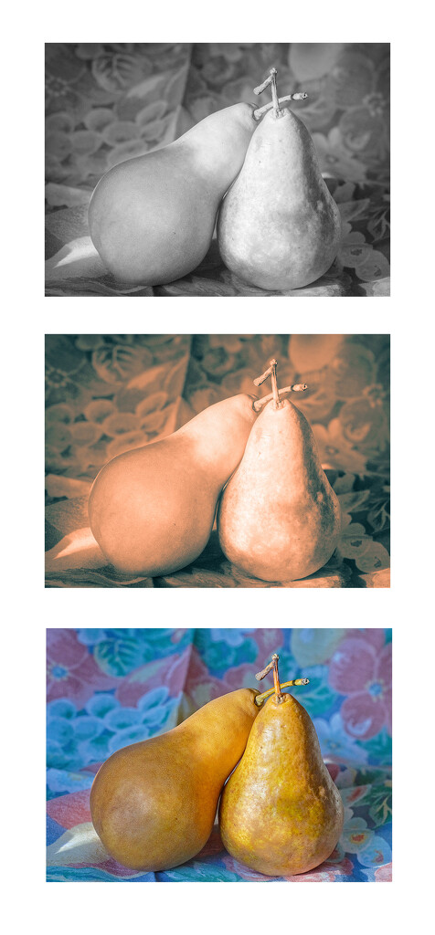 Pairs of Pears by gardencat