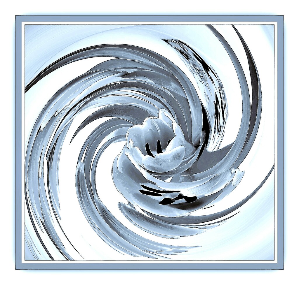 Truly in a twirl. by beryl