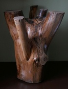 18th Feb 2024 - spruce sculpture