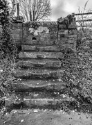 18th Feb 2024 - Well Trodden Steps