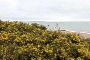 16th Feb 2024 - Highcliff Clifftop