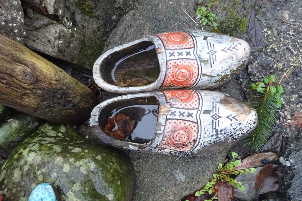 waterproof shoes by anniesue