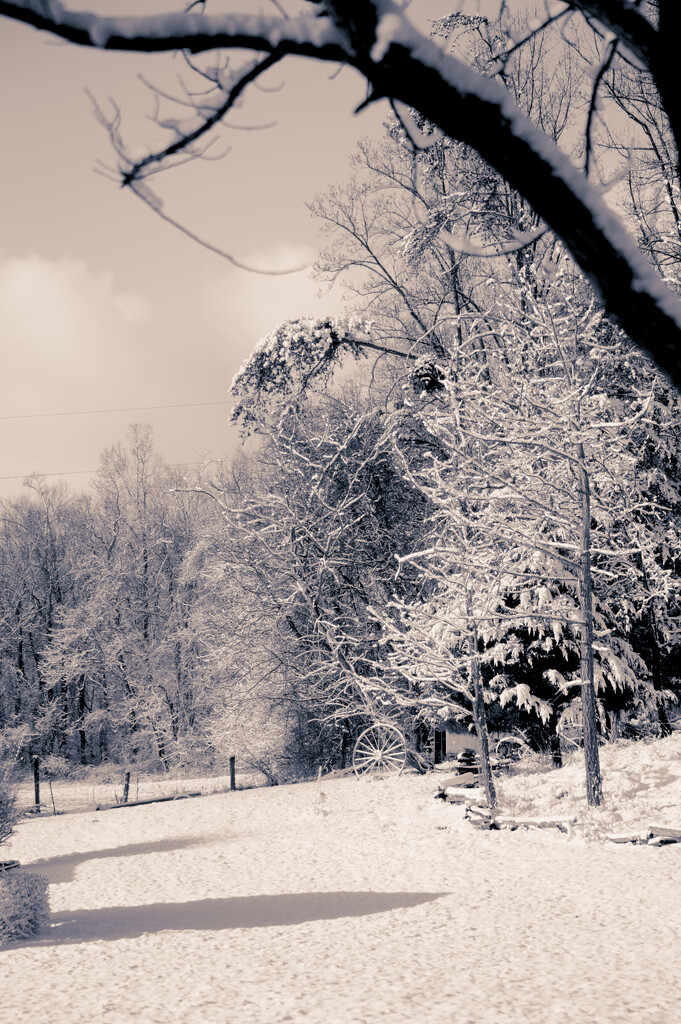 snowy scene by francoise