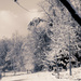 snowy scene by francoise