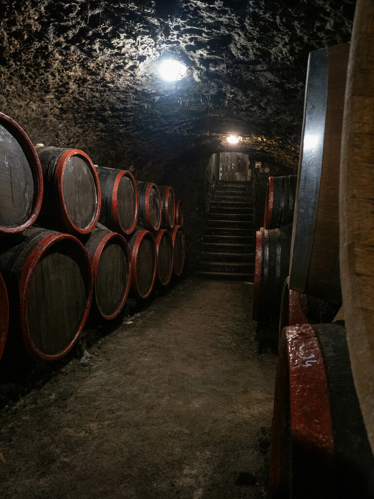 A wine cellar by haskar
