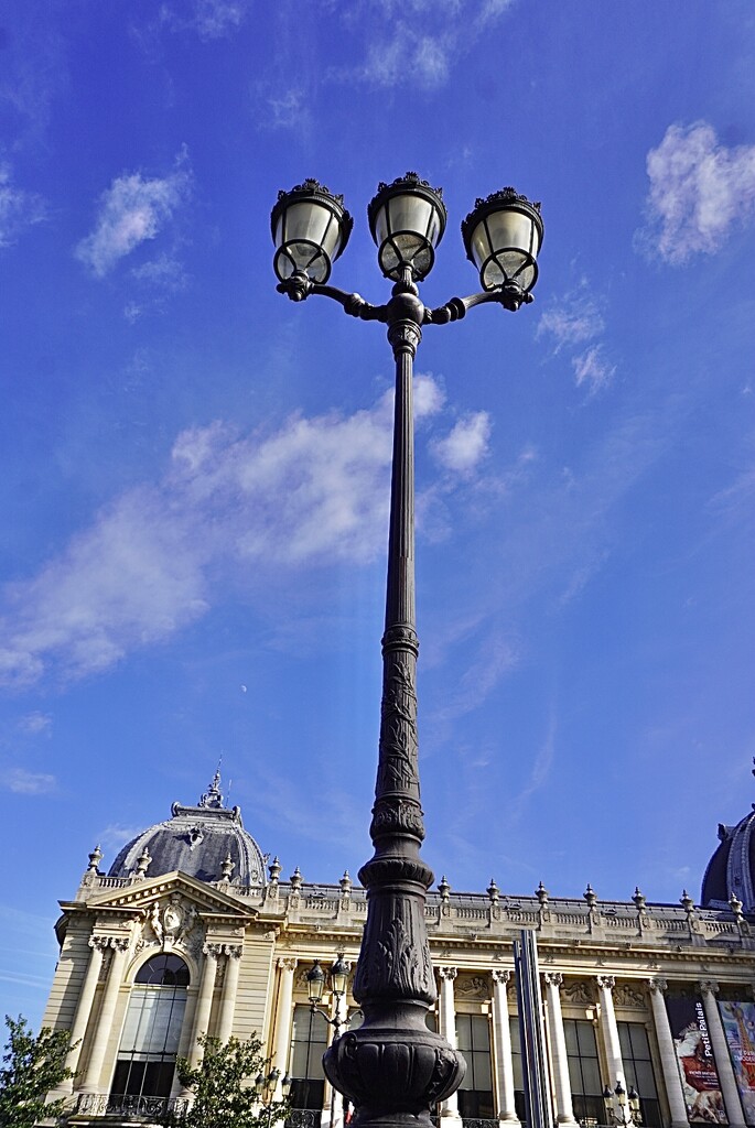 The Candelabra Lamp Posts of Paris - known as a ‘Candle tree’. by beverley365