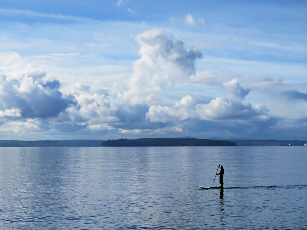 Paddleboarder by seattlite