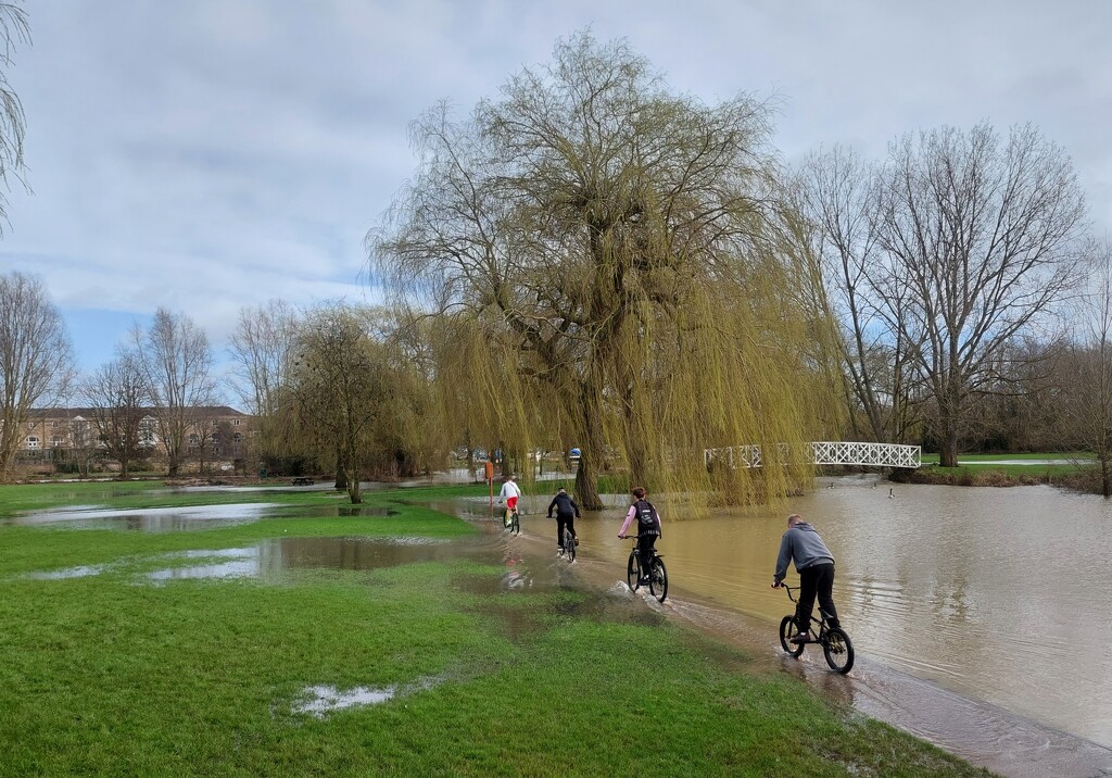 Cyclists enjoying the floodwaters by busylady