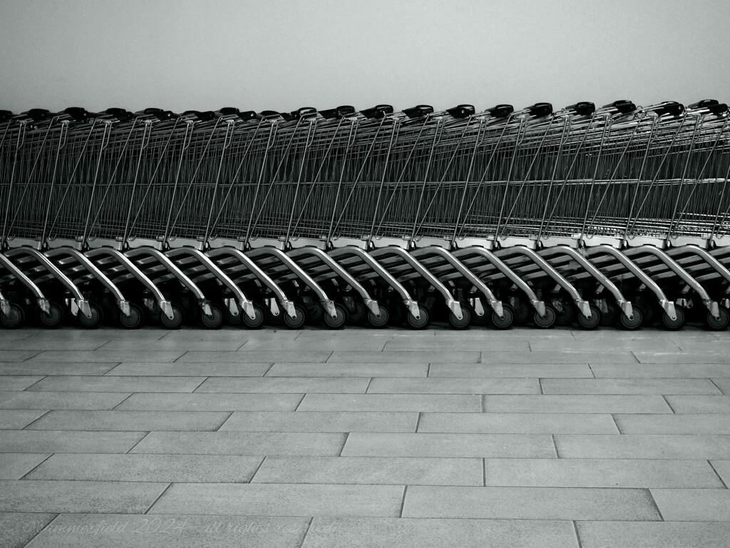 shopping carts by summerfield