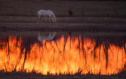 19th Feb 2024 - Lake of Fire