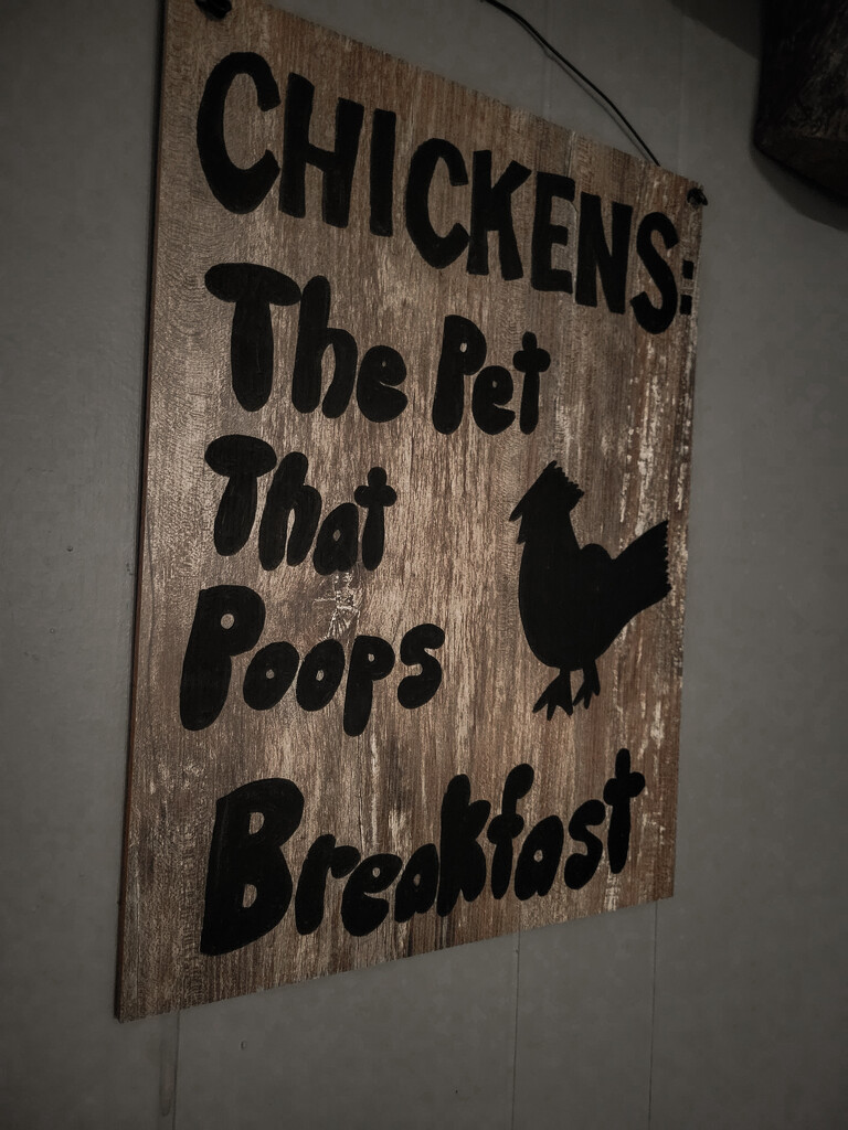 Chicken sign  by paigers