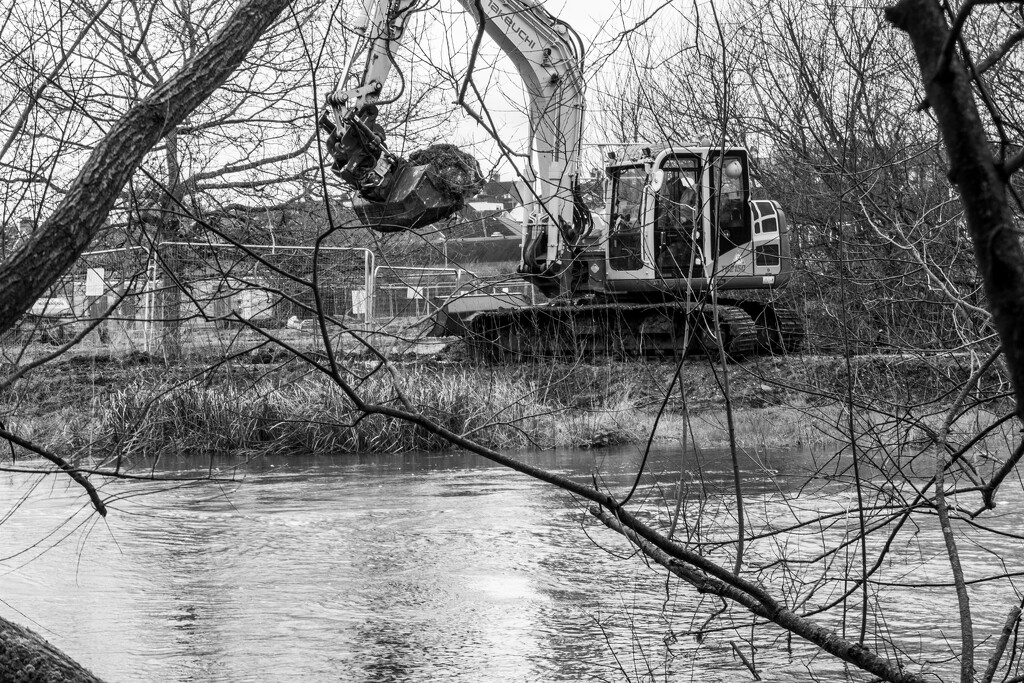 Activity by the river..... by susie1205