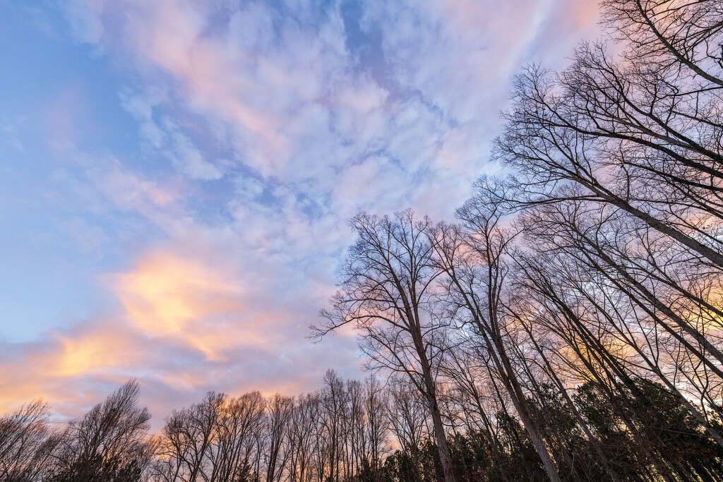 Sunrise Clouds & Trees by kvphoto