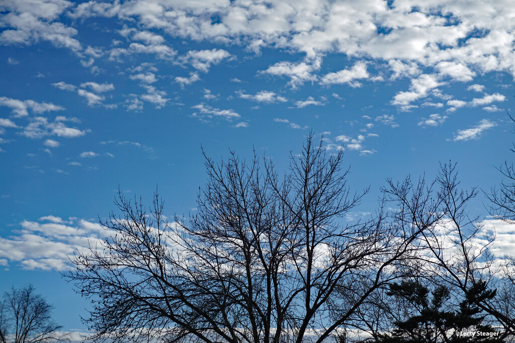 Late February sky by larrysphotos