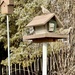 Mourning doves on the feeder by mltrotter