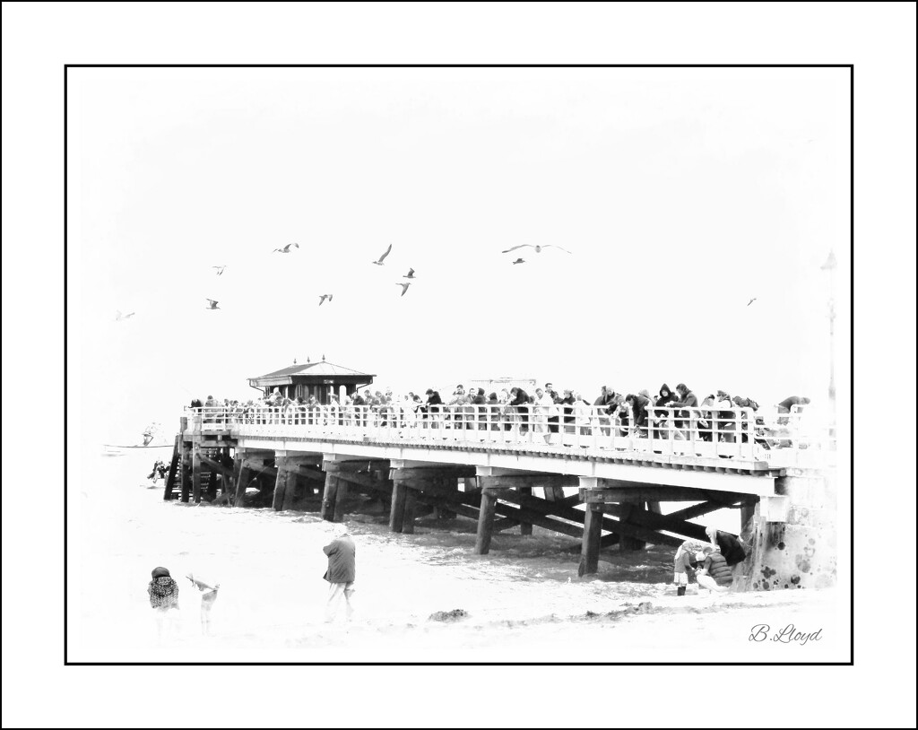The crowded pier . by beryl