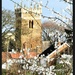 Old Clee Church 
