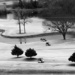 Golf in the winter by louannwarren