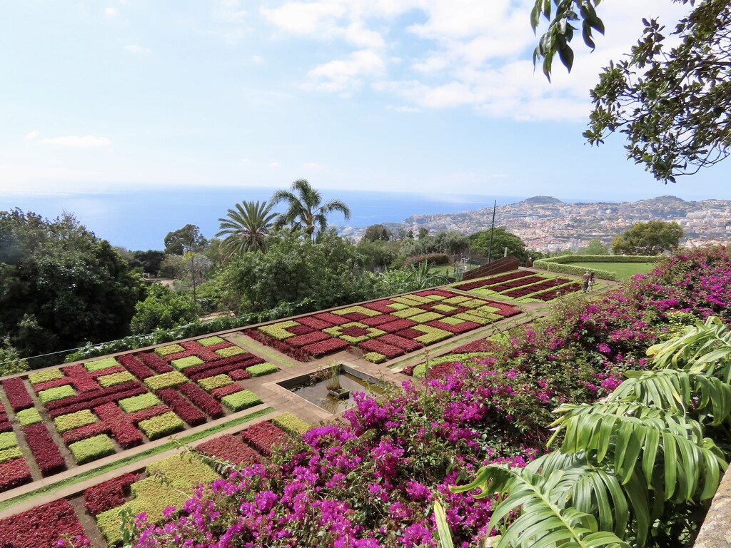 Well known view of Madeira Botanical Gardens by orchid99