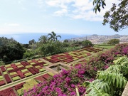 21st Feb 2024 - Well known view of Madeira Botanical Gardens