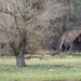 The old barn by haskar