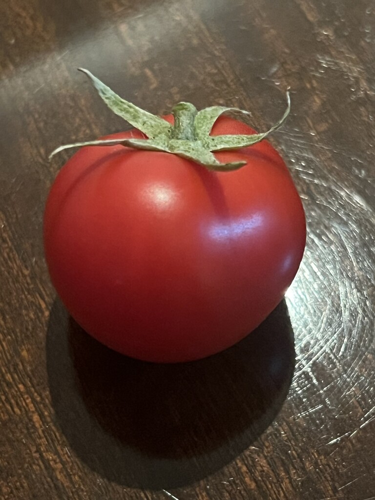 Red tomato by cadu