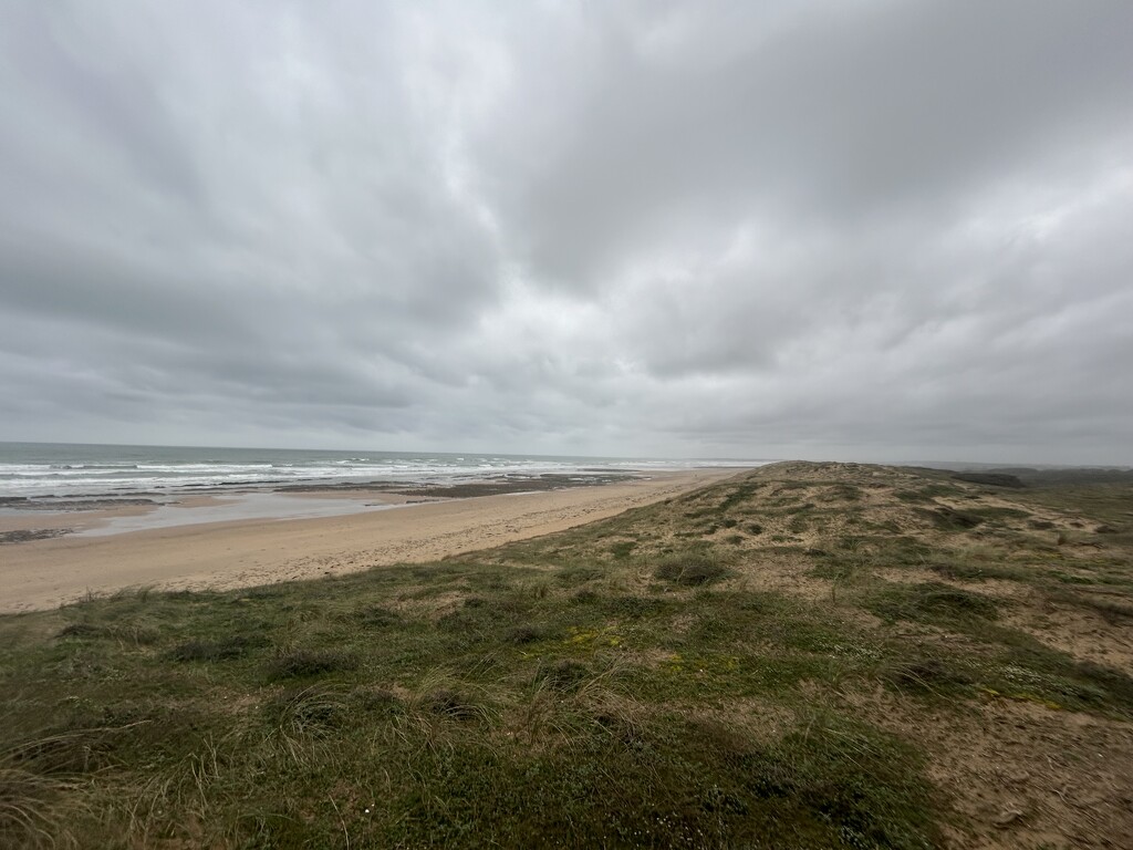 Wild and windy today.  by suehazell