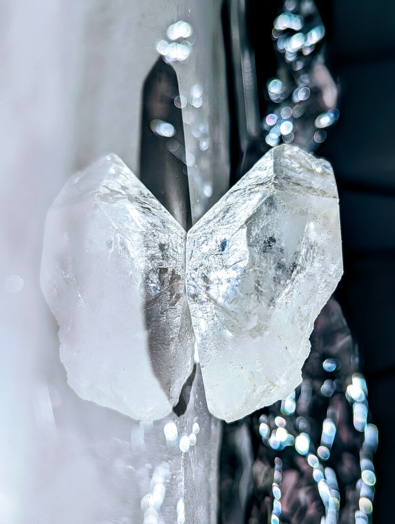 Crystal Butterfly  by photohoot