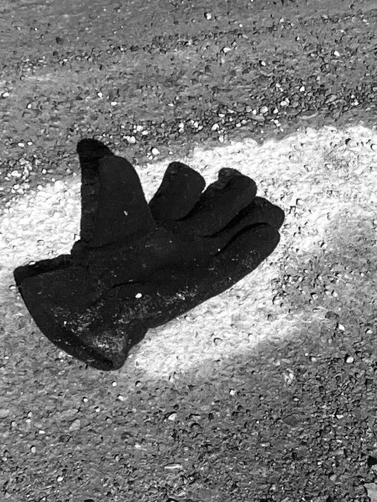 Lost Glove by spanishliz