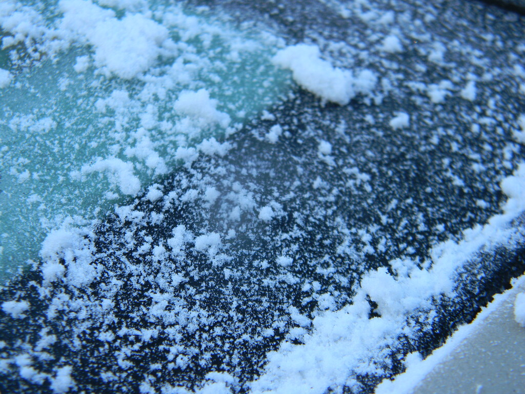 Frost on Windshield  by sfeldphotos