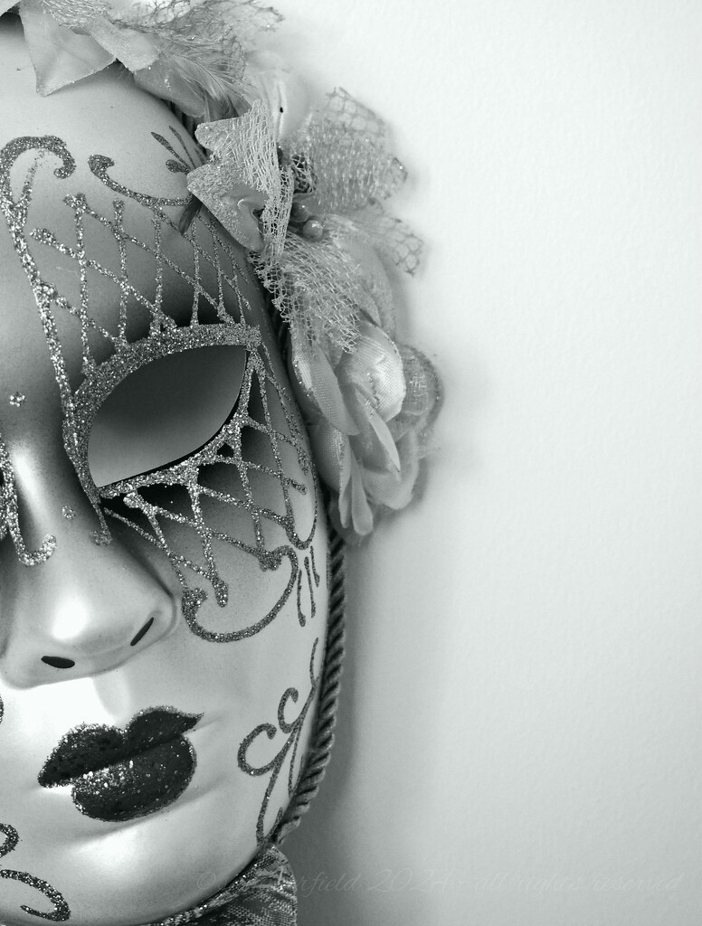 the Venetian mask by summerfield
