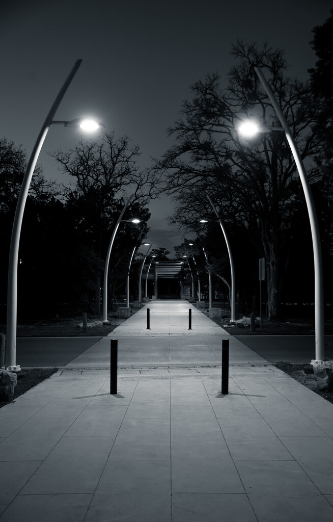 051 - Evening Path at the Park by emrob