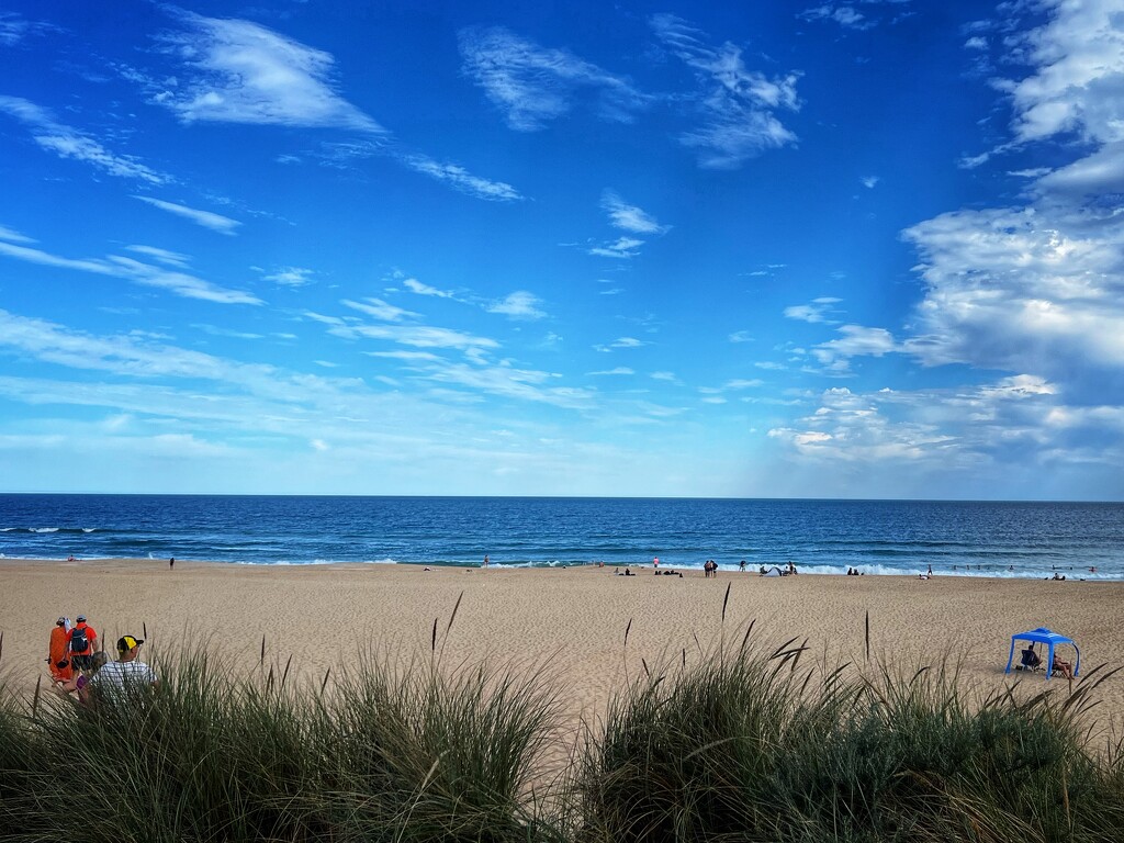 Aussie beach scene by pusspup