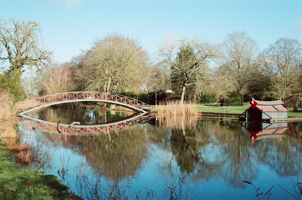 The Bridge Hare Park by foxes37