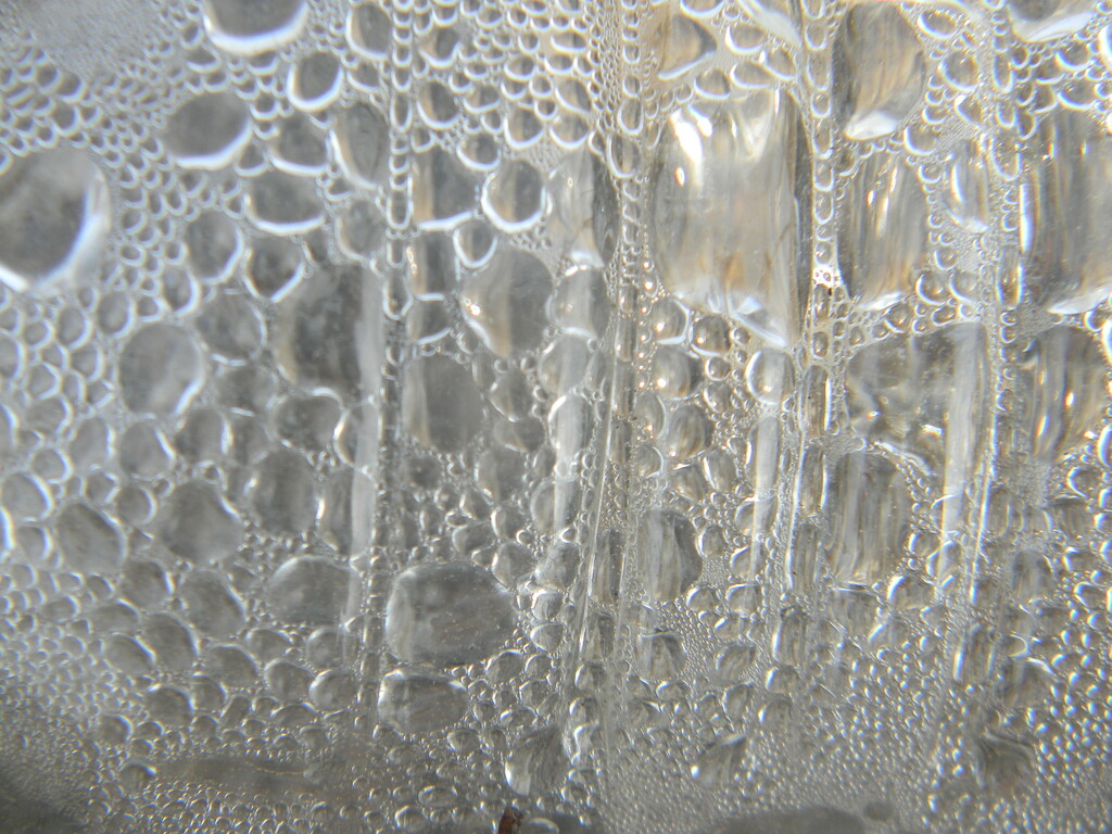 Water Bottle Condensation  by sfeldphotos