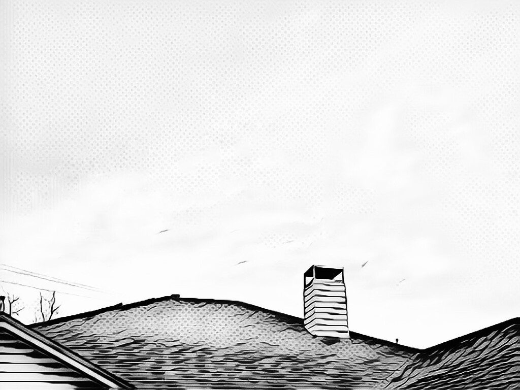 Roofline by louannwarren
