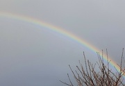 23rd Feb 2024 - Suddenly,  a beautiful rainbow appeared.
