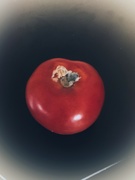 23rd Feb 2024 - R is for Red Tomato 