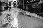 23rd Feb 2024 - Venerdì 23 febbraio 2024