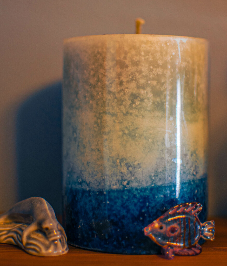 Candle and fish by darchibald