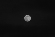 23rd Feb 2024 - moon