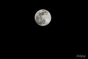 23rd Feb 2024 - Full Moon
