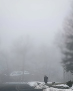 23rd Feb 2024 - A Very Foggy Morning